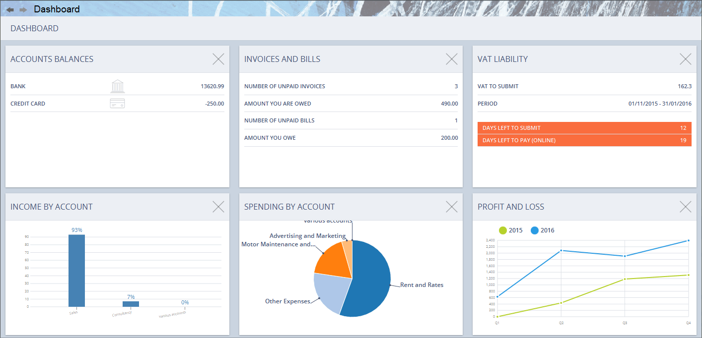 Accounting Software screenshot dashboard main