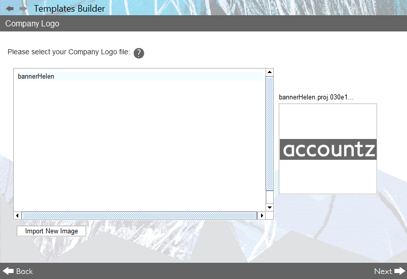 Accounting Software screenshot templates builder wizard part 2