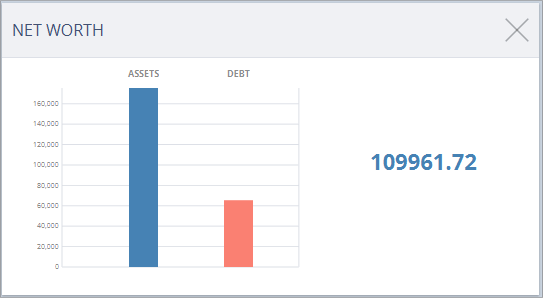 Accounting Software Screenshot net worth dashlet thumbnail