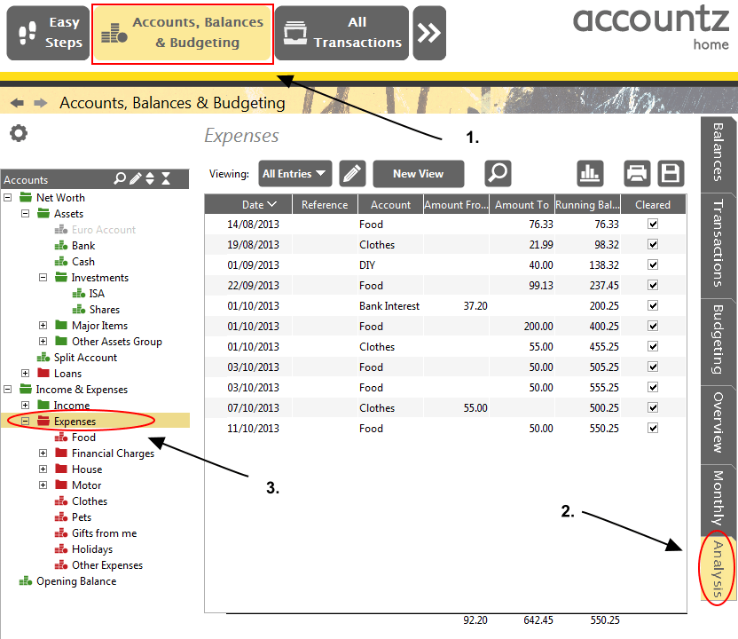 Accounting Software accounts entries group transactions 1