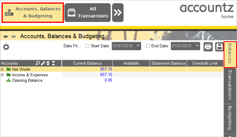 Accounting Software balances