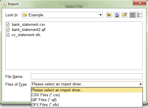 Accounting Software import select file
