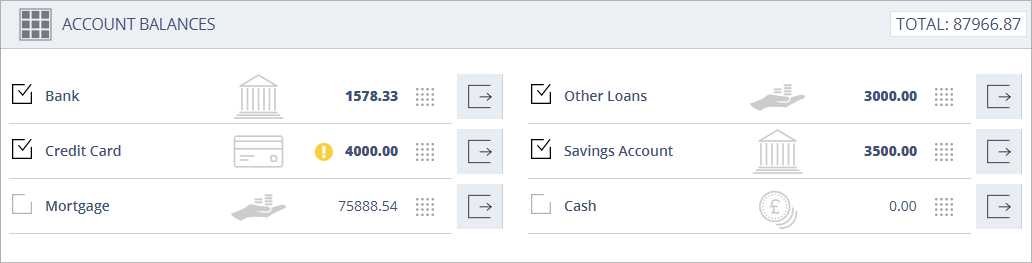 Accounting Software screenshot account balances