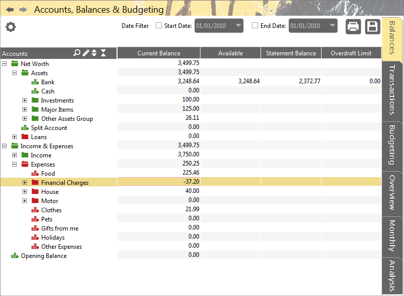 Accounting Software screenshot accounts balances budgeting