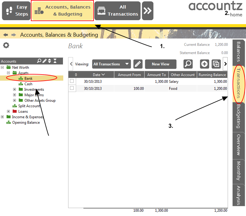 Accounting Software screenshot enter individual account transactions 1
