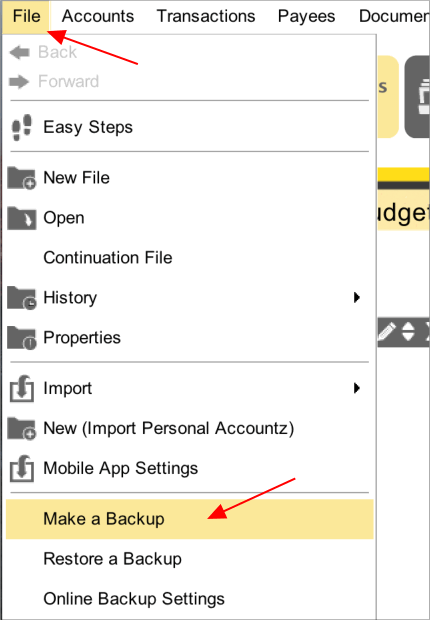 Accounting Software screenshot home make a backup to memory stick mac 1