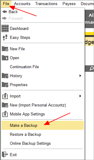 Accounting Software screenshot home make a backup to memory stick 1