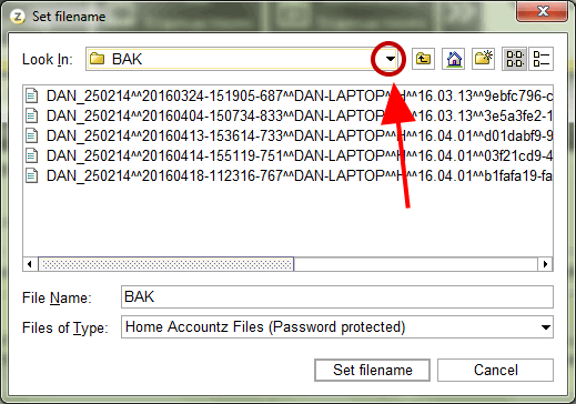 Accounting Software screenshot home make a backup to memory stick 3