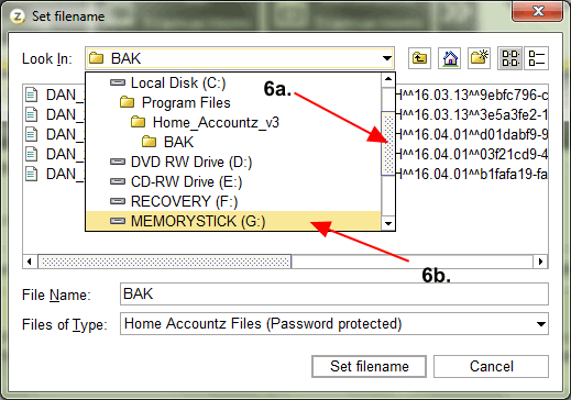 Accounting Software screenshot home make a backup to memory stick 4