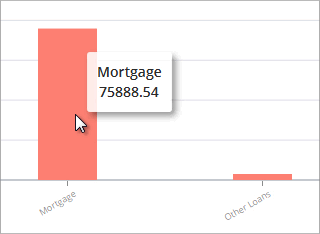 Accounting Software screenshot networth hover