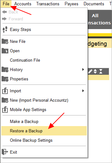 Accounting Software screenshot restore file 1
