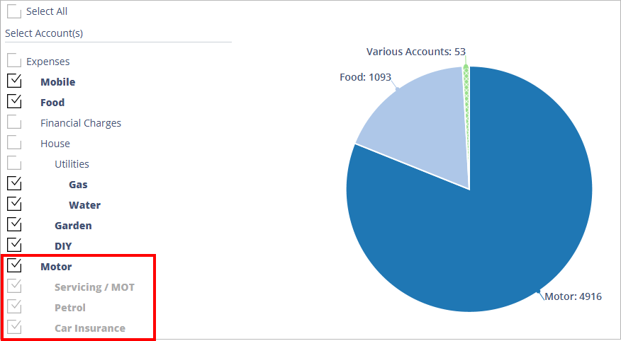 Accounting Software screenshot spending by account group