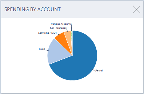 Accounting Software screenshot spending by account thumbnail